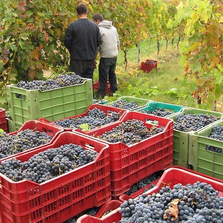 Podere Riosto Cantina&Agriturismo ピアノーロ エクステリア 写真