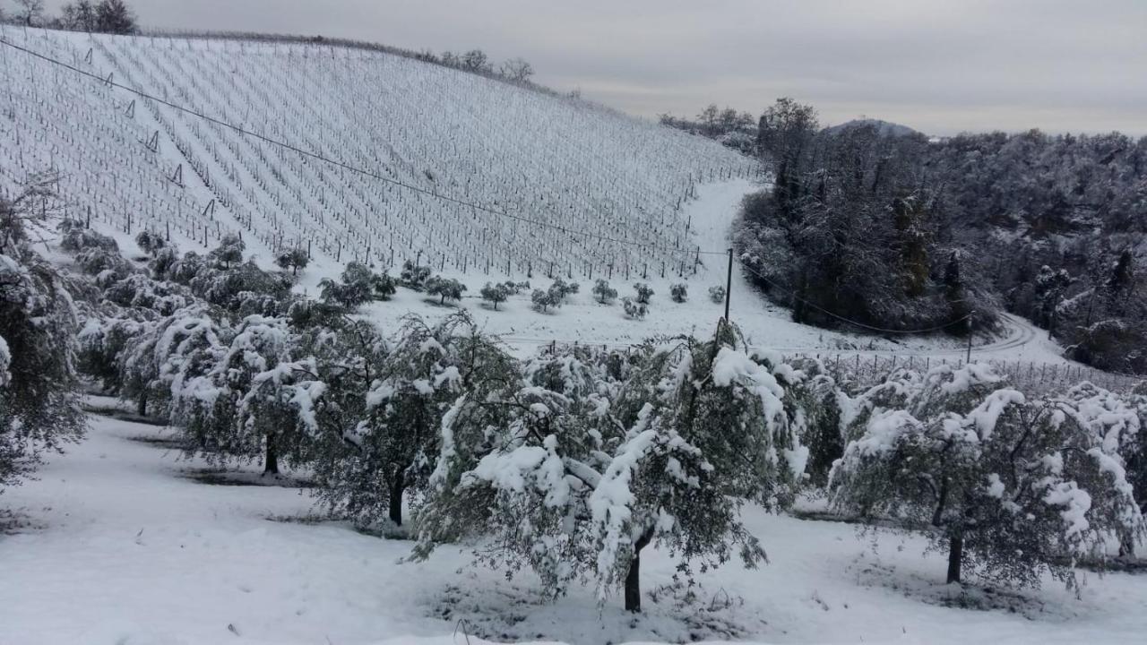 Podere Riosto Cantina&Agriturismo ピアノーロ エクステリア 写真