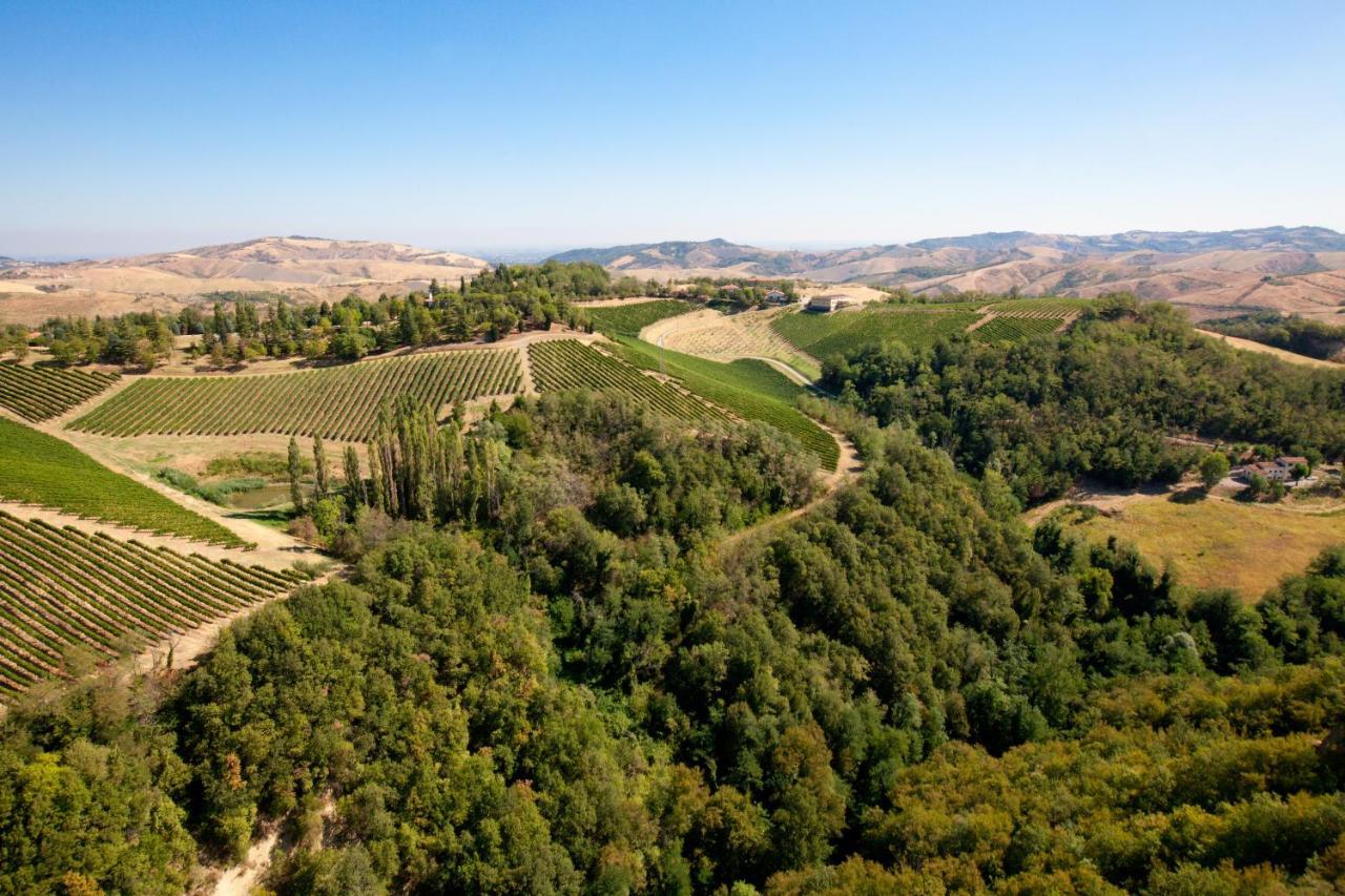 Podere Riosto Cantina&Agriturismo ピアノーロ エクステリア 写真