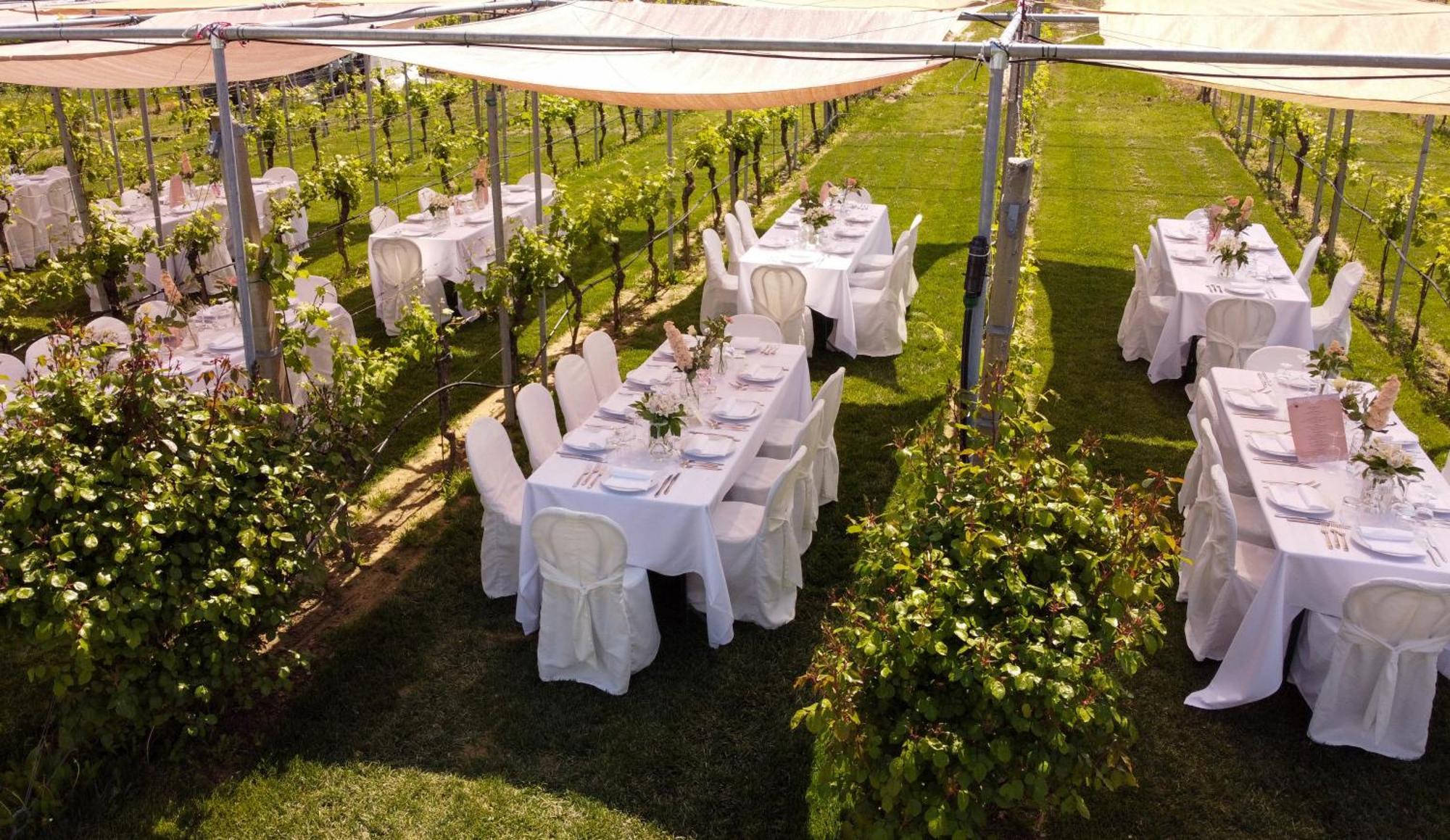 Podere Riosto Cantina&Agriturismo ピアノーロ エクステリア 写真