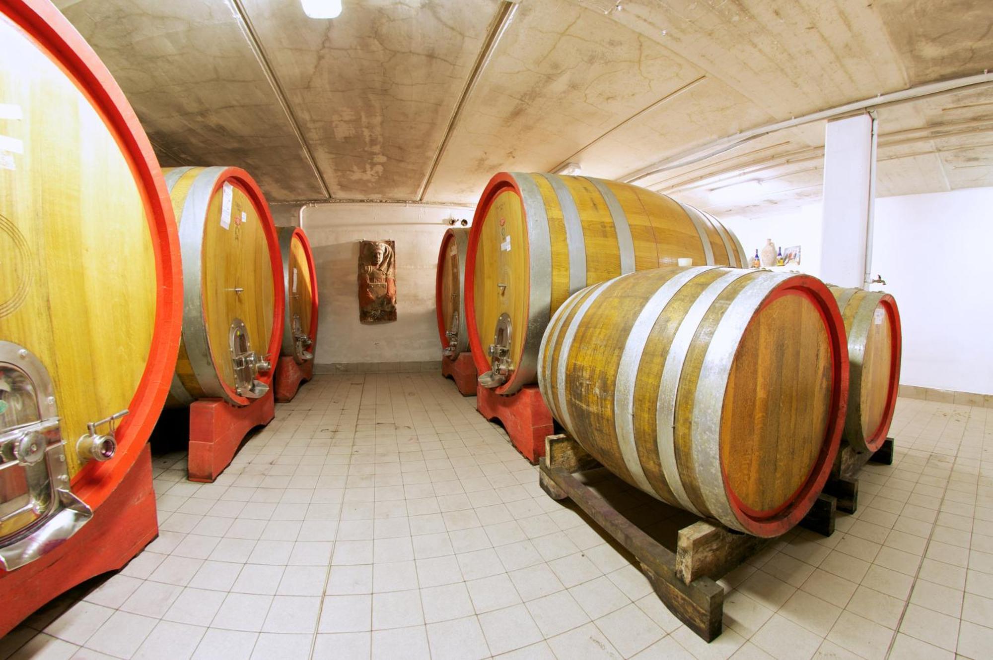 Podere Riosto Cantina&Agriturismo ピアノーロ エクステリア 写真
