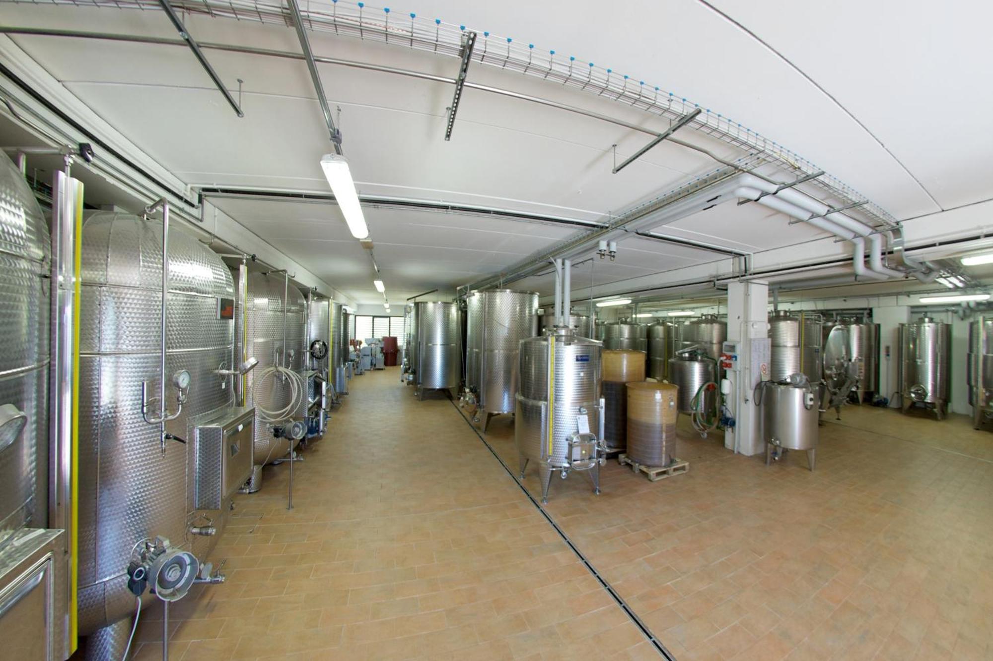 Podere Riosto Cantina&Agriturismo ピアノーロ エクステリア 写真