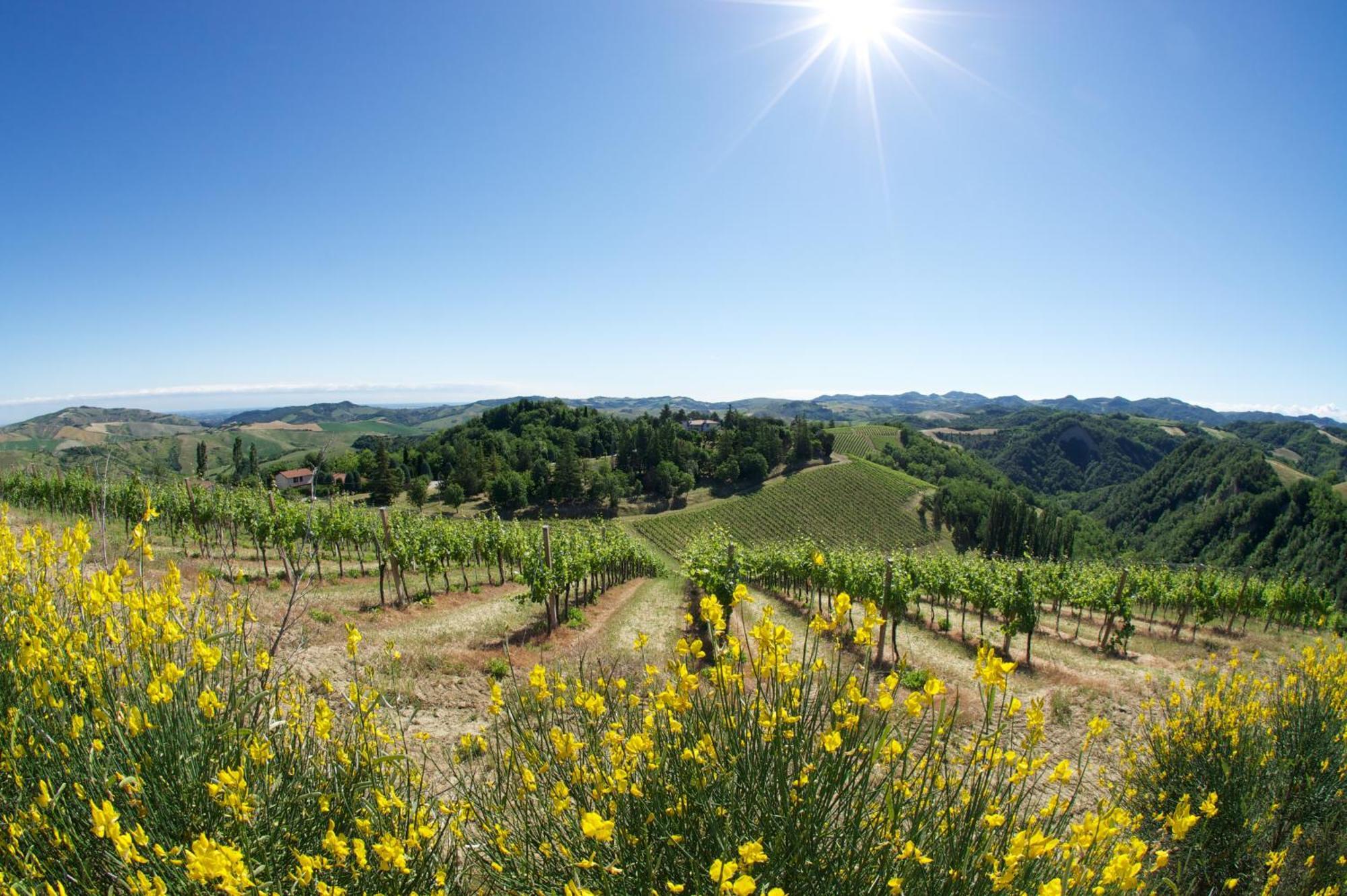 Podere Riosto Cantina&Agriturismo ピアノーロ エクステリア 写真