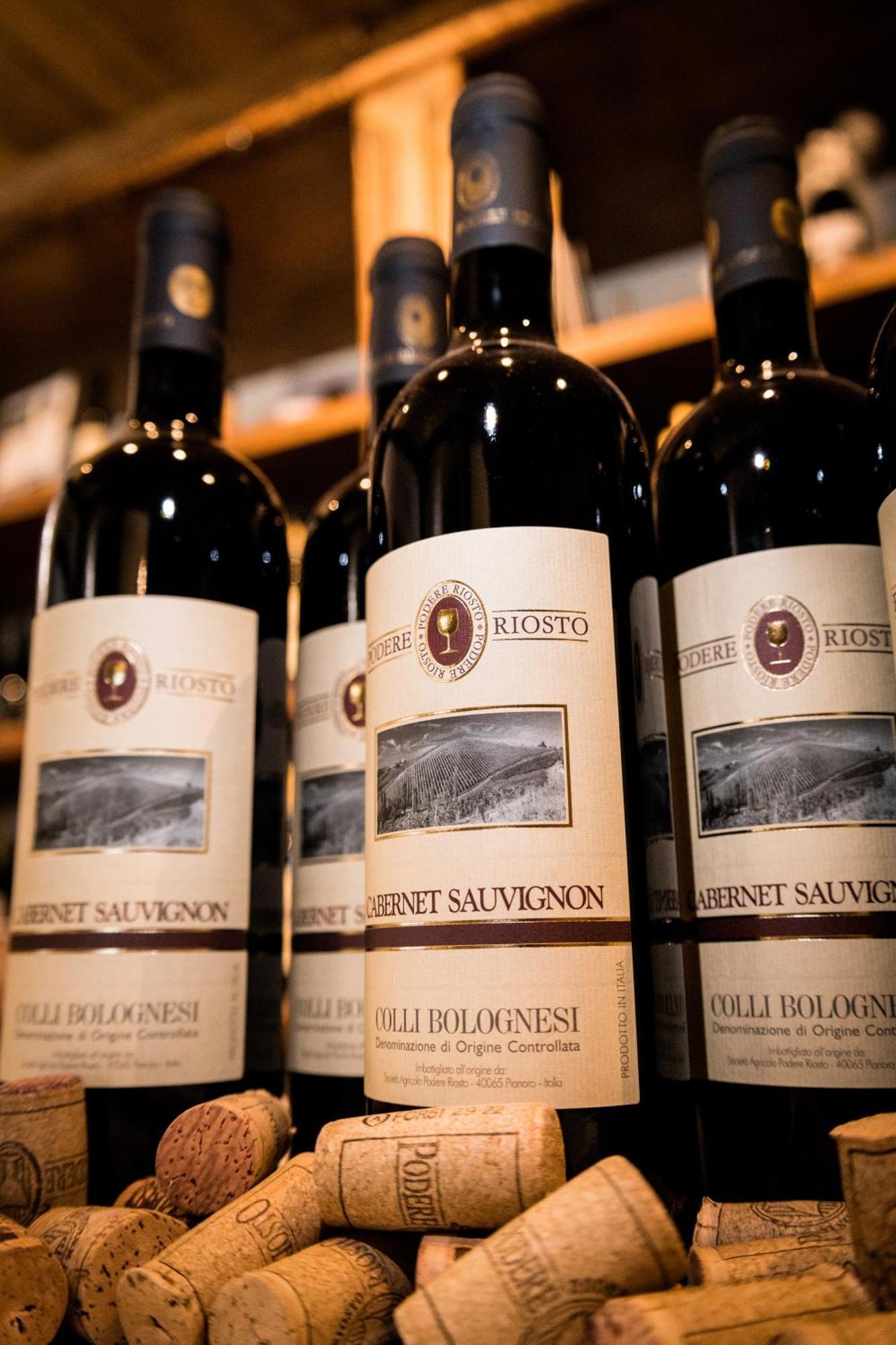 Podere Riosto Cantina&Agriturismo ピアノーロ エクステリア 写真