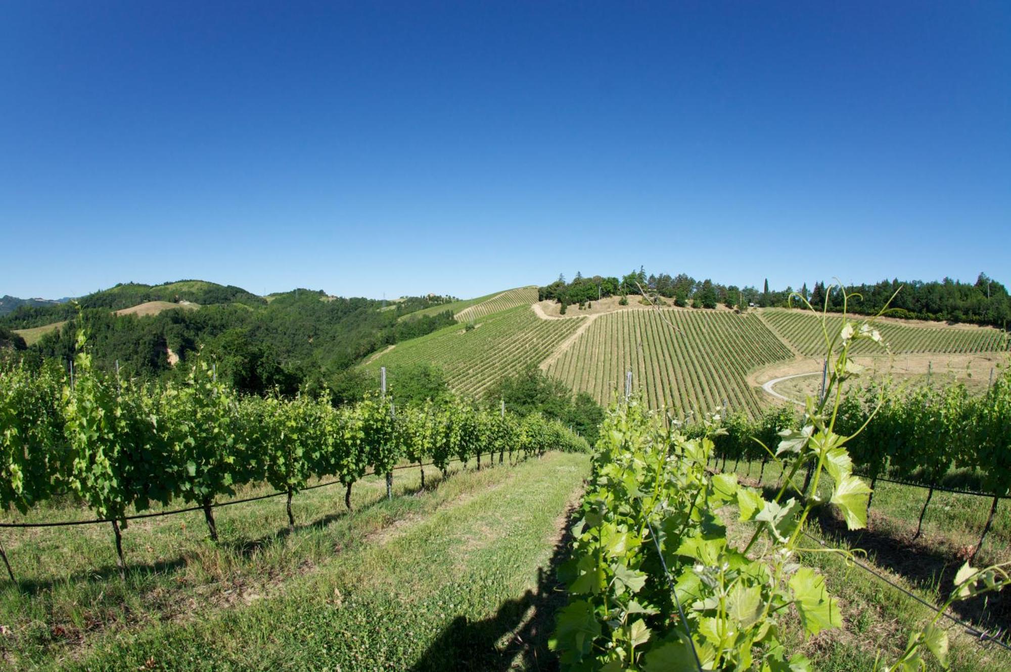 Podere Riosto Cantina&Agriturismo ピアノーロ エクステリア 写真