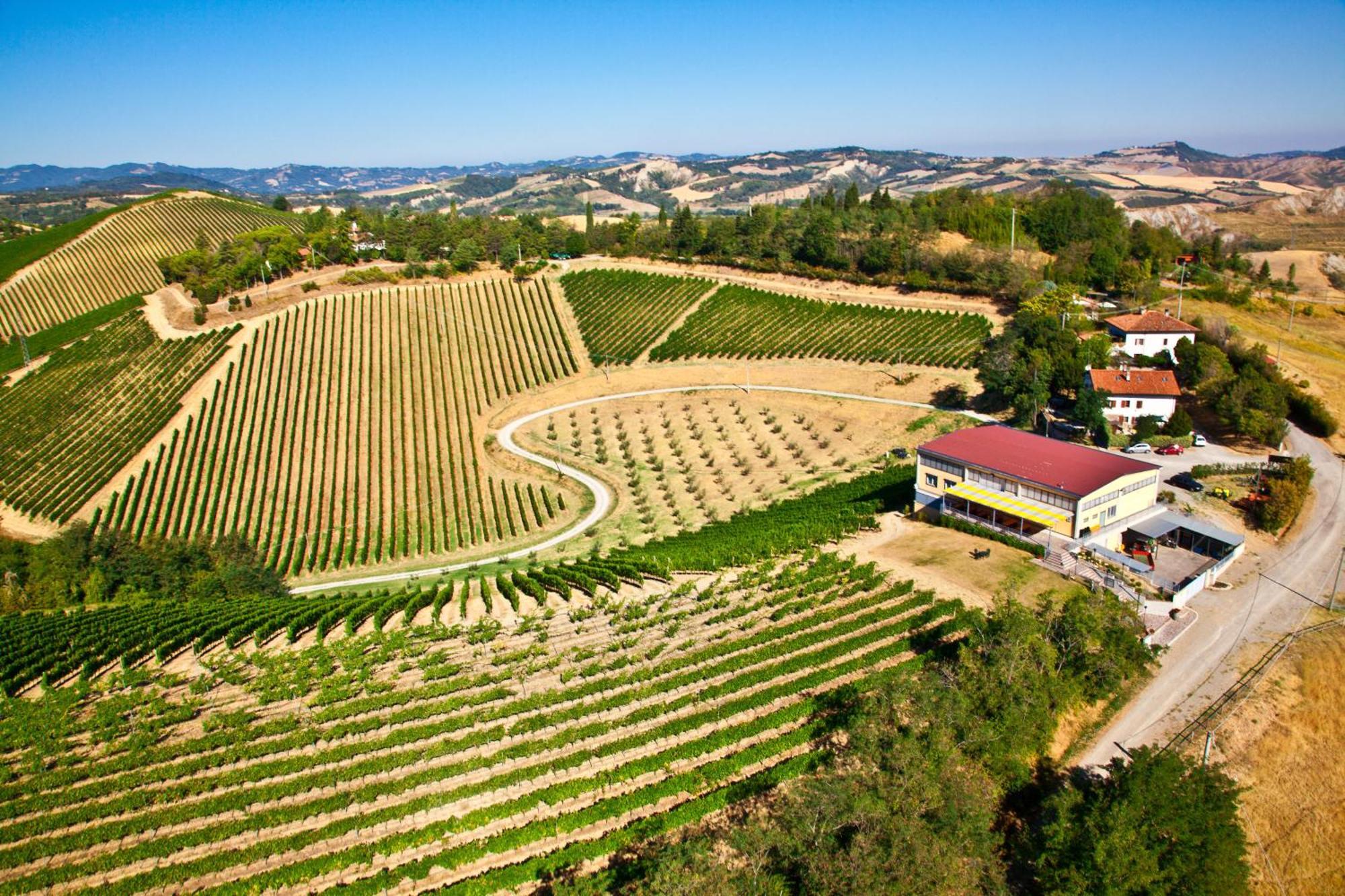 Podere Riosto Cantina&Agriturismo ピアノーロ エクステリア 写真
